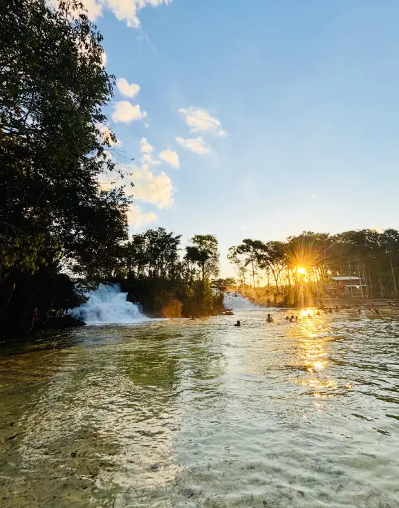 Ilha das Orquídeas